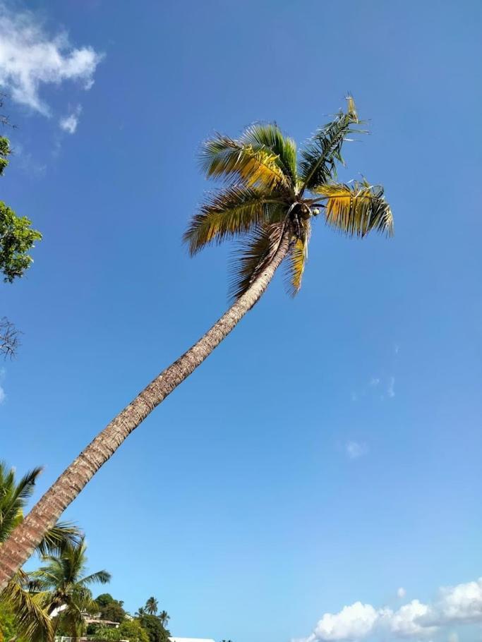 Villa Nautilia, Vue Mer, Proche Plage レ・トロワ・イレ エクステリア 写真